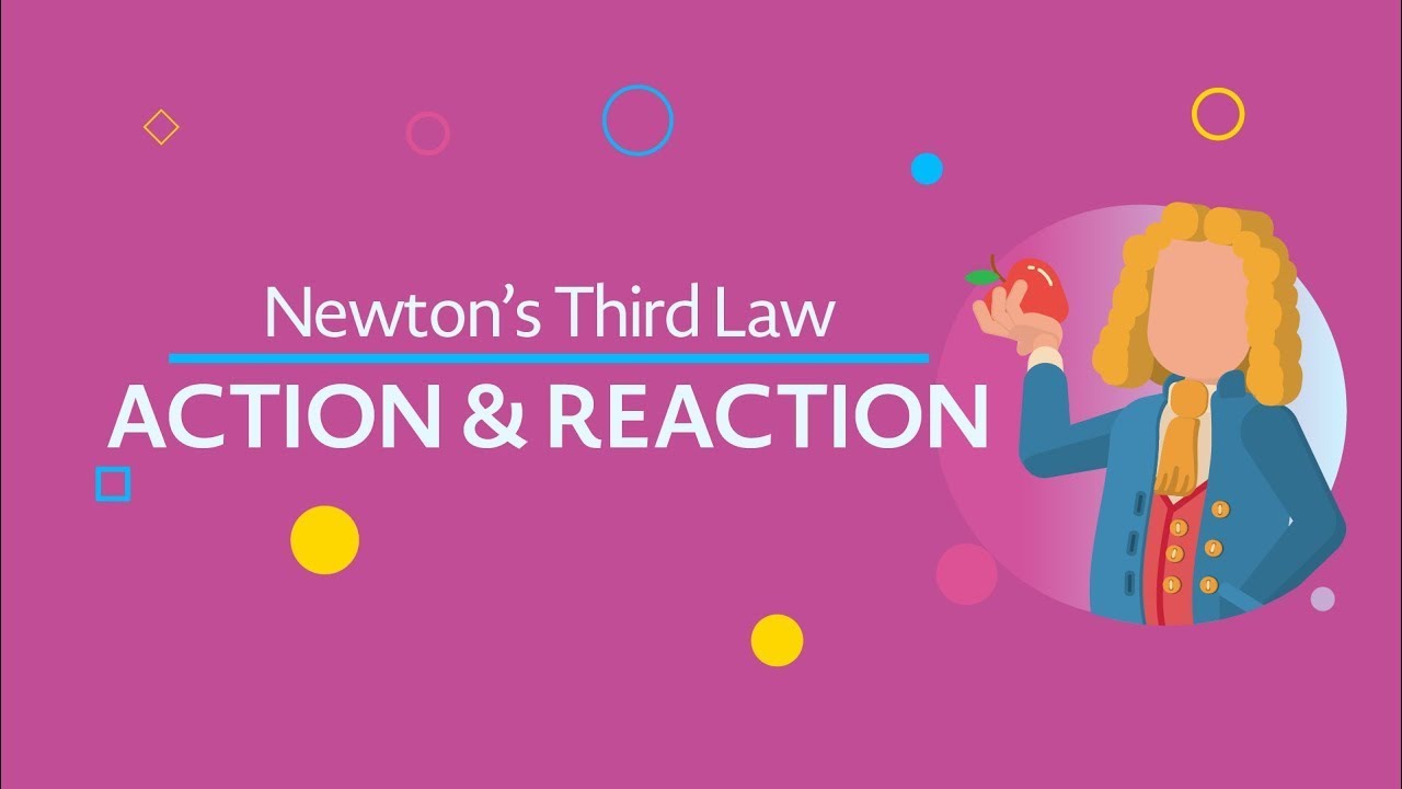 Lesson 17: Newton's 3rd Law (Action-Reaction)