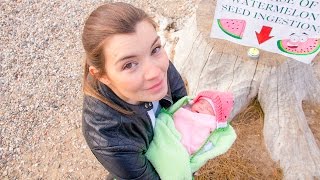 Pregnancy Time Lapse - IF YOU EAT WATERMELON SEEDS! (Original)