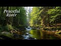 River Soundscape 🌿 Peaceful Water Ambience for Meditation, Study, and Relaxation #717