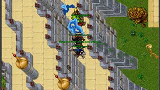 Tibia      Helera , Amera  , Hydera ,