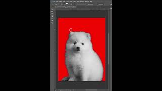 Photoshop 2026 Tips for Removing Background color highly detailed object #reels