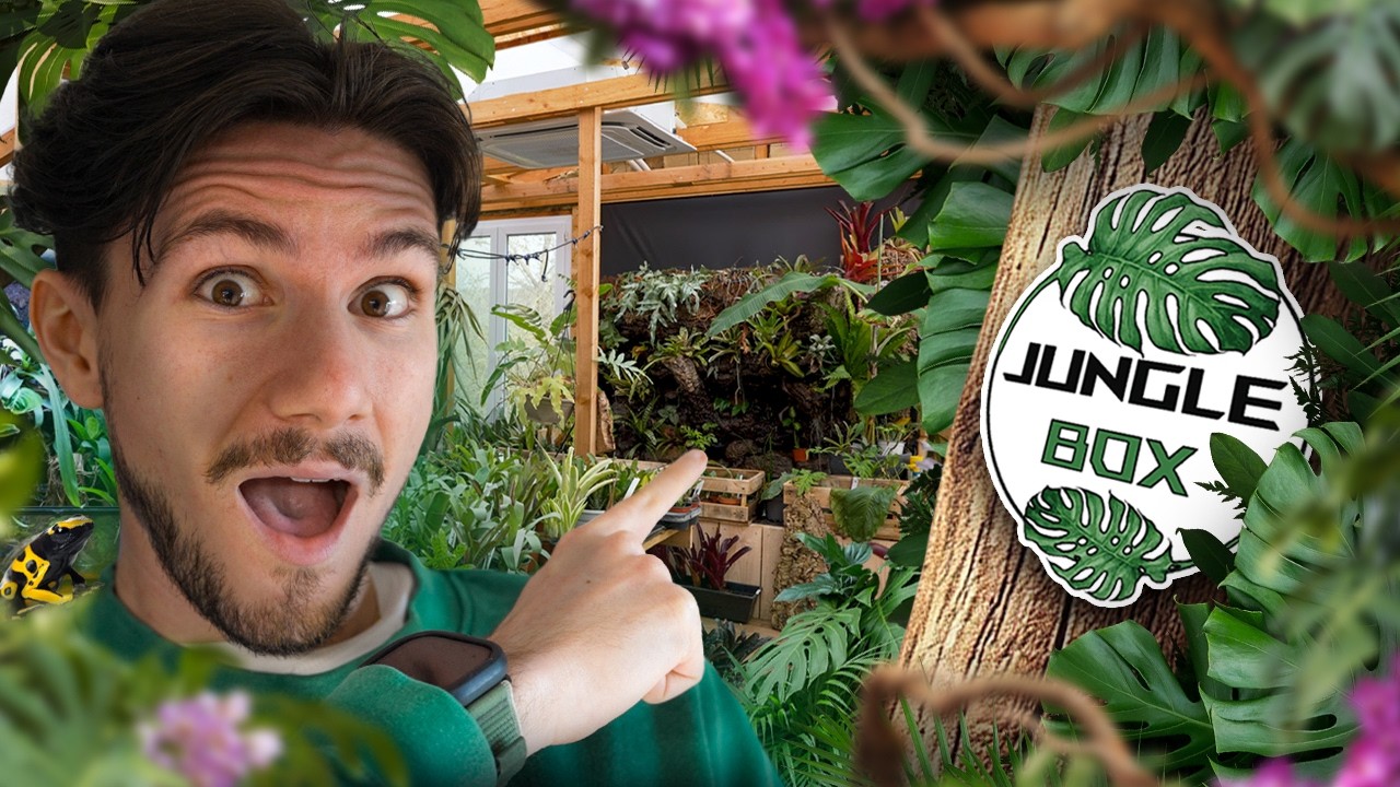 Je visite la SERRE TROPICALE DE JUNGLEBOX ! (des plantes rares exceptionnelles)