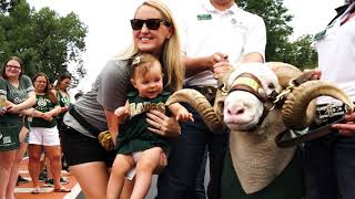 Ram Handlers