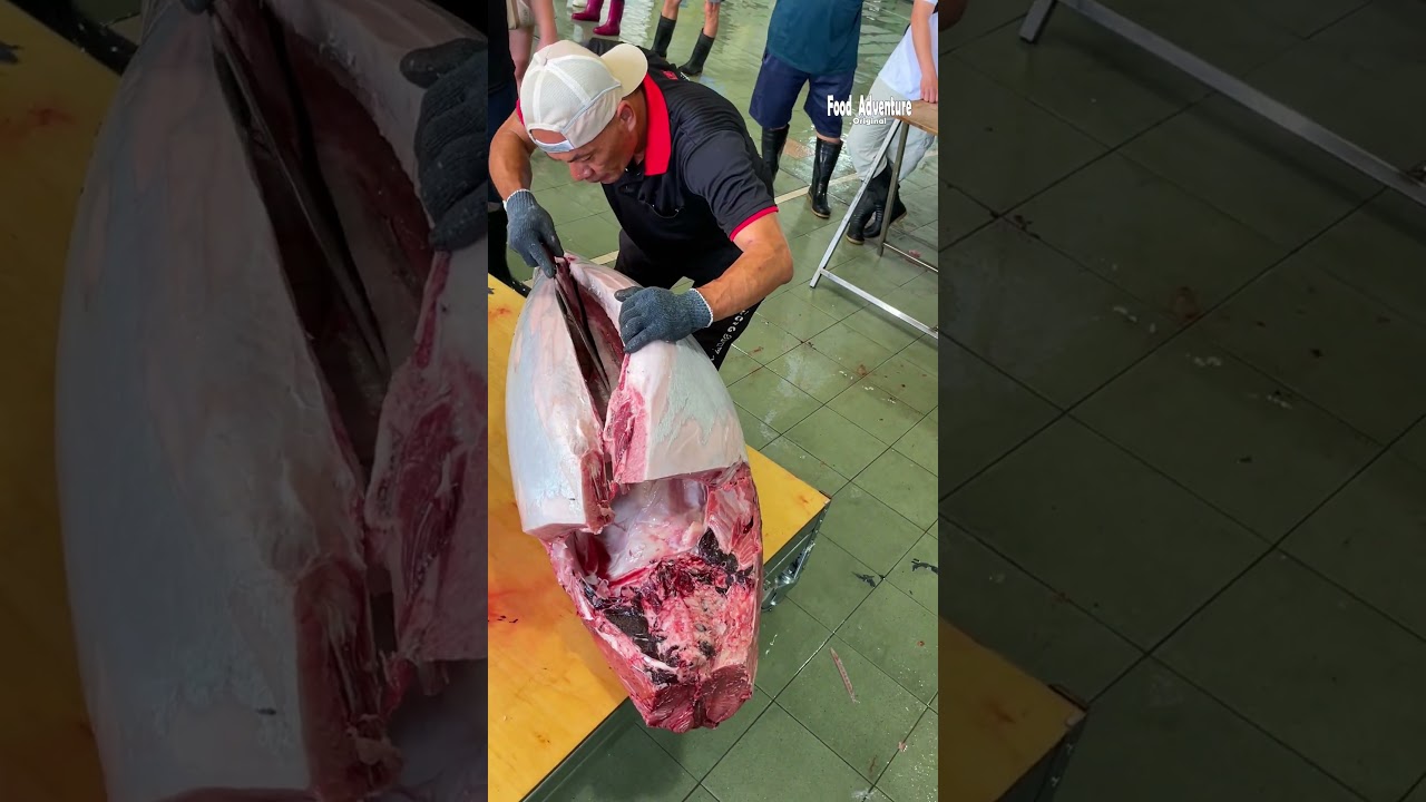 Unreal watch 300kg tuna spine sliced with the sharpest knife on Earth 🐟⚡ 