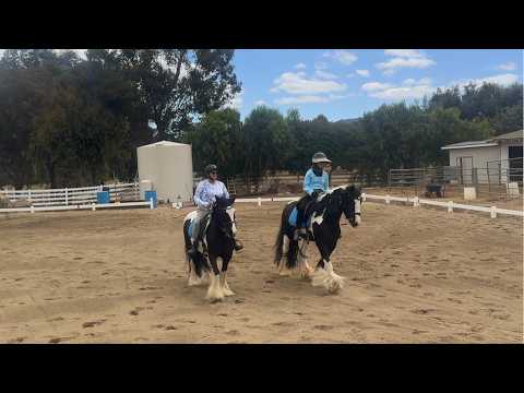 Gypsy Vanners practice Pas De Deux May 28, 2026