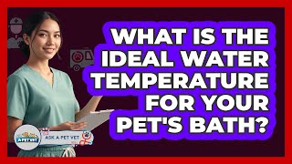 What Is The Ideal Water Temperature For Your Pet's Bath? - Ask A Pet Vet