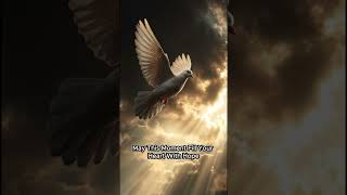 Let Peace Fill Your Heart Today 🕊️ #faith #prayer #love #hope #shorts