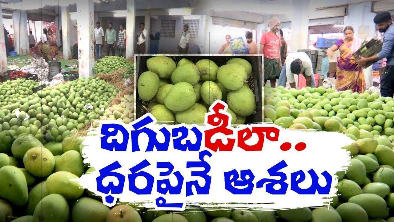 Mango Exports Begun In Nunna Mango Market Vijayawada Farners Hopes 
