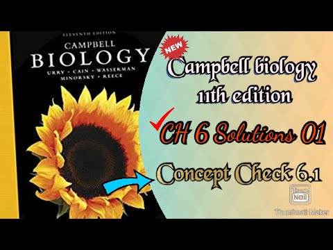Campbell Biology (11th edition) CH 6 Solutions - concept Check 6.2 in hindi  ( CC) | True Biology - YouTube
