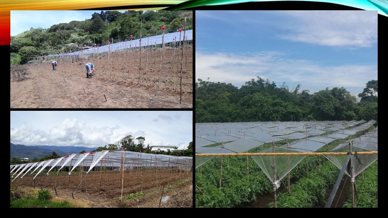 Construcción de semitechos-Estructuras de protección agrícola