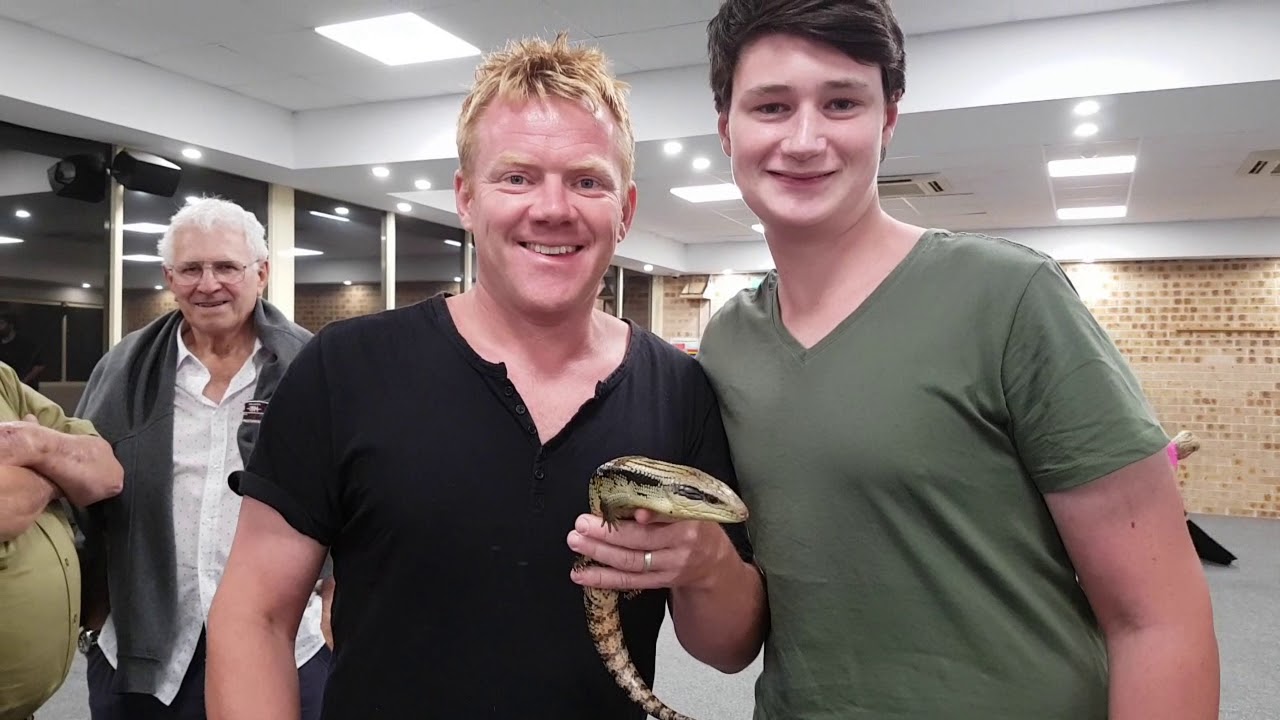 joe ball blue tongue lizard lizards reptiles