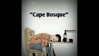 Status wa cape bosque