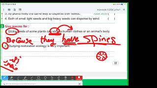Science grade 4 lesson concept 2 Energy flow and assessment on lesson 1-2-3 