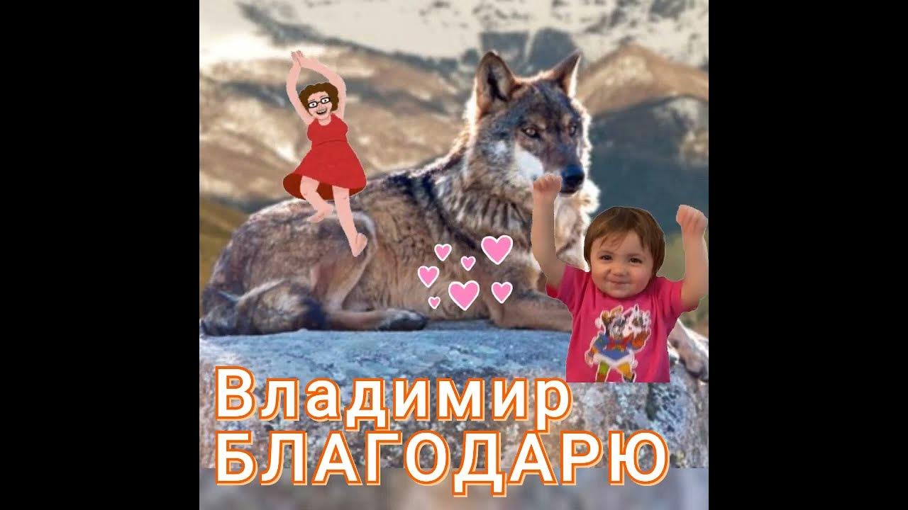 Владимир Волчара - YouTube
