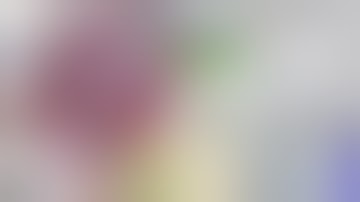 scan vs round 752 vs j cooley and myscanvids