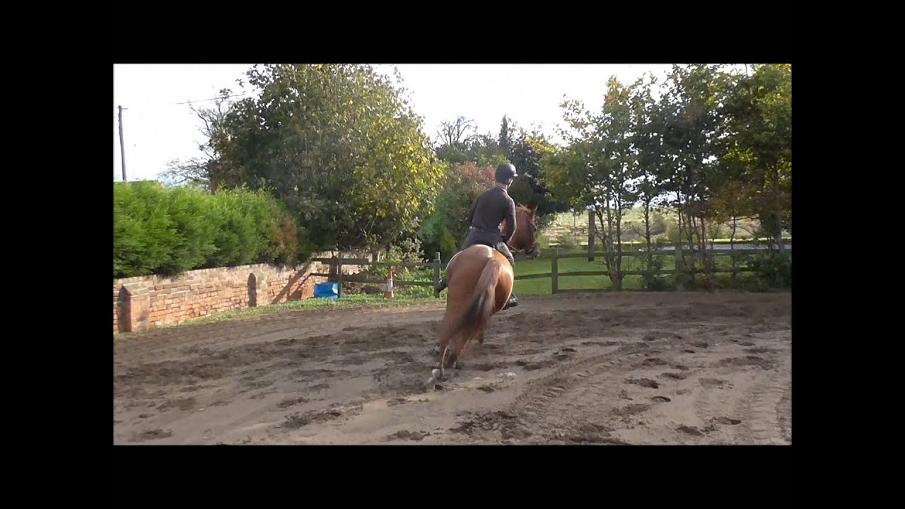 H at Home - Jump Elite