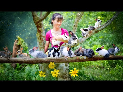 Harvesting Rabbits and Pheasant Chickens to Sell at the Countryside Market – Farm Life