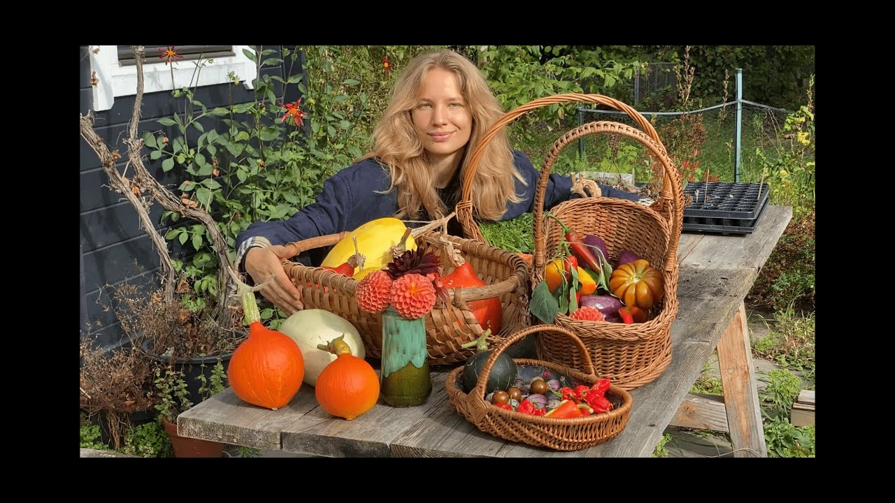 12 Stück Künstliche Samt-Kürbisse Aus Schaumstoff – Weiß, Je 15x15x12 Cm, Für Herbst- & Thanksgiving-Deko