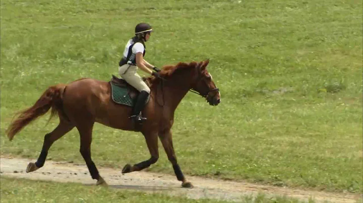 Jennifer Matlack  "General Patton"  Plantation Field Horse Trials  XC/BNR  6/9/2013