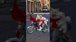 Cute cats and kittens steals my kinderjoy !!!! ##catvideos #cutecats #catlover #trendingshorts#cat