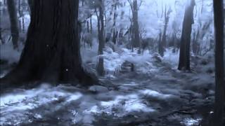 Sarah Brightman - Fleurs du Mal