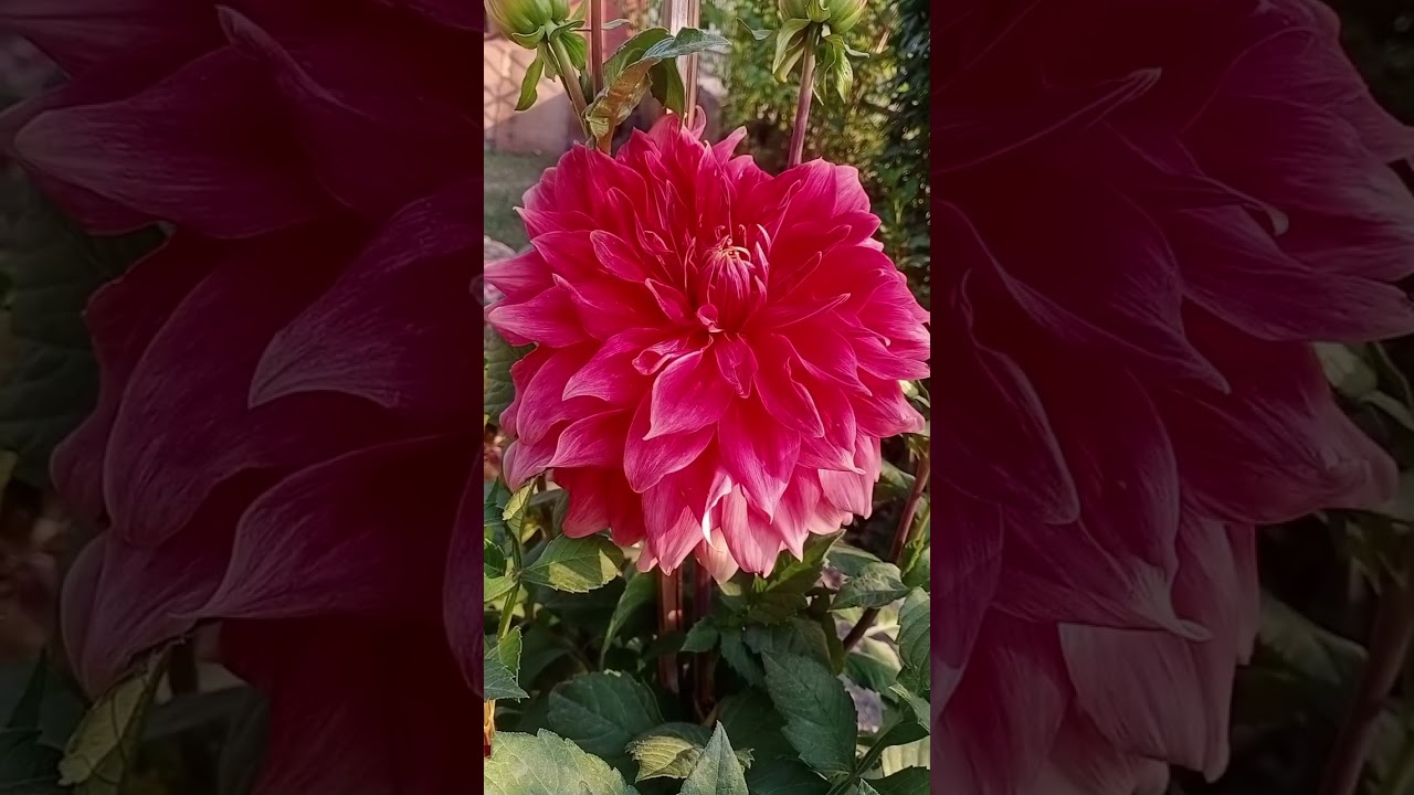 SHANKHA PARK KATHMANDU, NEPAL 23 APRIL 2024