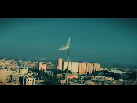 راية التوحيد