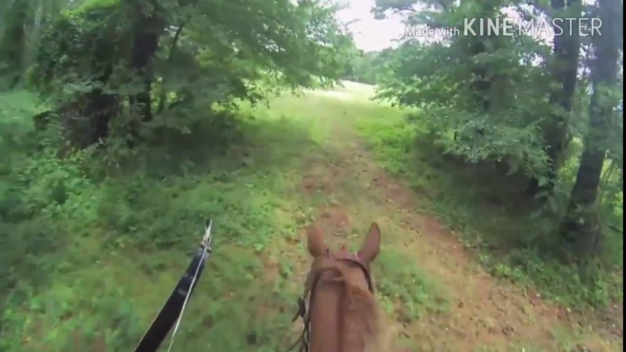 Cross Country Horseback Field Archery Competition 052117 YouTube