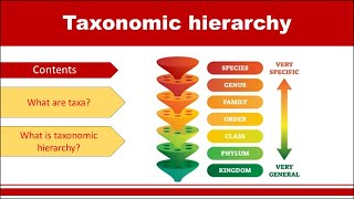 Taxonomic Hierarchy- Class 9th