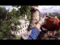 Спил деревьев | Промышленный Альпинизм Москва GoPro