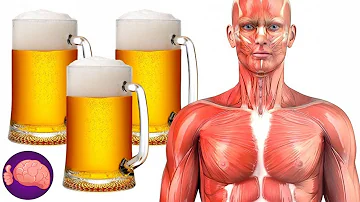 ¿Qué le ocurre al cuerpo cuando se bebe cerveza todos los días?
