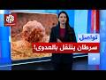 "اكتشاف نوع سرطان ينتقل بالعدوى.. هل يقضي على البشر؟ | تواصل Mp3 Song