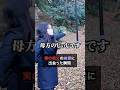 実の祖父が幽霊になって会いに来ていた【心霊】