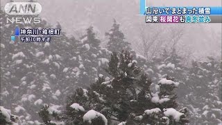 桜開花の関東で真冬の光景　山沿いでまとまった積雪(17/03/26)