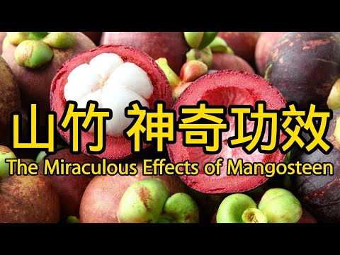 山竹的功效與作用，山竹是涼性還是熱性？山竹一天最多吃幾個？The Miraculous Effects of Mangosteen