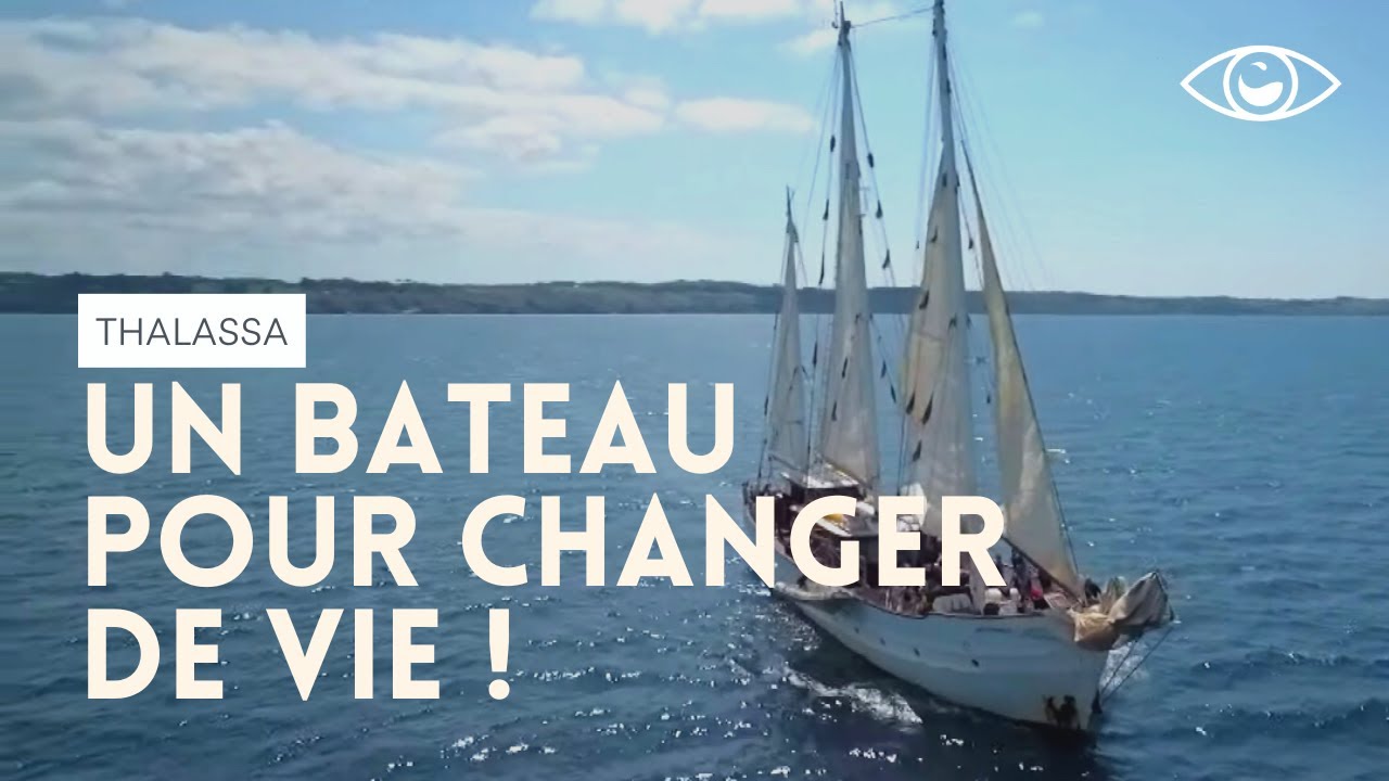 Le Rara Avis, un bateau pour changer de vie Thalassa YouTube