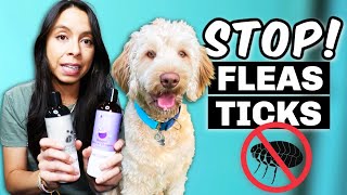 Flea & Tick Products that ACTUALLY WORK!! 🙌 Safest options for my pets screenshot 2