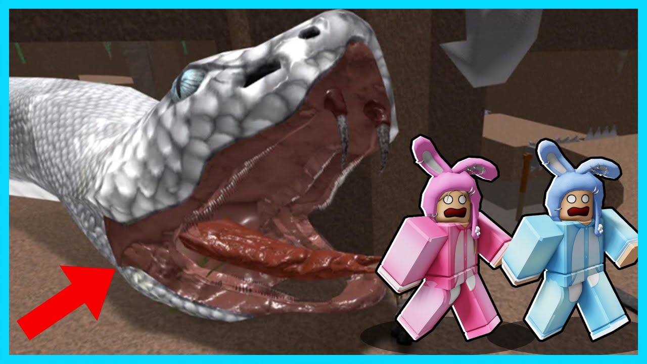 MIPAN & ZUZUZU Kabur Dari Ular Anaconda Yang Sangat Besar!