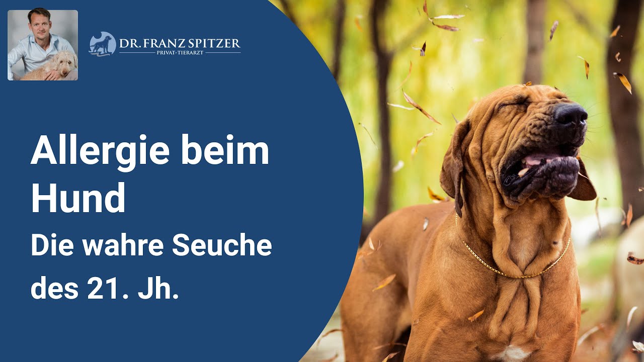 Du Bist Spitzer Als Eine Läufige Hündin Du Bist Spitzer Als Eine Läufige Hündin