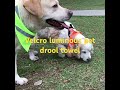 Pet supplies factory,support small batch orders!#petsupplies #factory #petdrooltowel #custommade