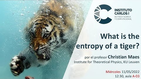 Christian Maes: What is the entropy of a tiger?