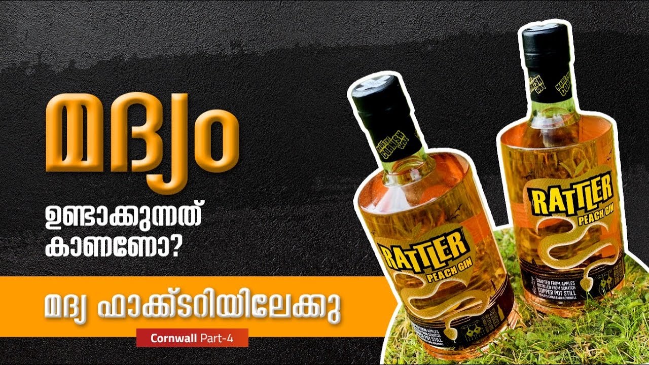കള്ള് ഉണ്ടാക്കുന്നത് കാണാൻ പോയാലോ/Healey's Cornish Cyder Farm/ Malayalam videos UK