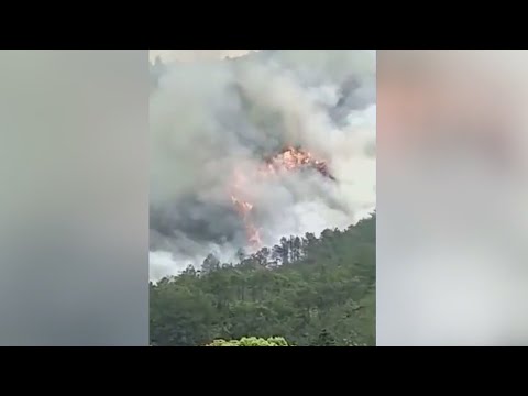 China Eastern Boeing 737 plane crashes with 132 aboard in Guangxi province