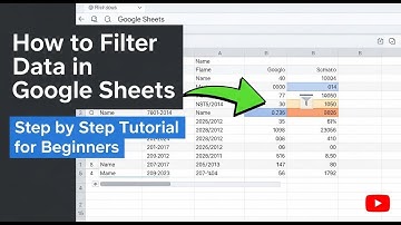 How to Filter Data in Google Sheets Step by Step Tutorial for Beginners