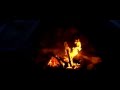 Звуки огня. Звуки ночного леса. Звуки природы. Crackling fireplace. Nature sounds forest. HD video