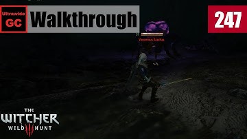 The Witcher 3: Wild Hunt [#247] - Hidden in the Depths || Walkthrough