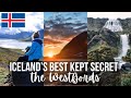 ICELAND'S BEST KEPT SECRET: Road trip in the Westfjords - ICELAND PART 2