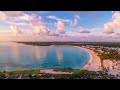 Swimming with pigs in the bahamas shorts