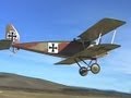 Halberstadt div ww1 1916 german fighter