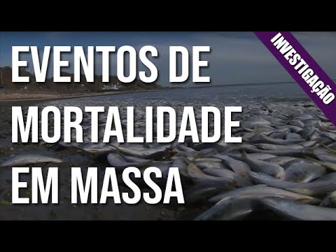 Vídeo: Qual evento causou essa mudança populacional na Grã-Bretanha?